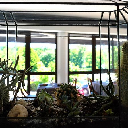 Aubergade Hotel บาร์โบตอง-เลส์-แตมส์ ภายนอก รูปภาพ